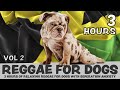SCIENTIFICALLY PROVEN - 3 Hours of calming Reggae music for dogs with separation anxiety