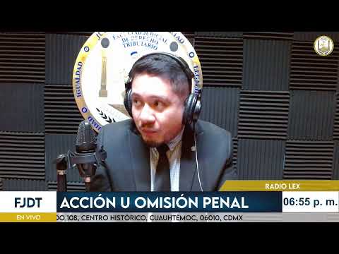 Acción u omisión penal|"CONTROL DE DETENCIÓN EN EL SISTEMA PROCESAL PENAL"| 19/03/2026