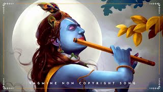 Krishna Background Music || Vagmine - No Copyright Song || NCS Hindi screenshot 2