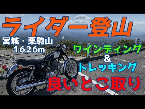 竜の棲む山 WR 耀き滅ぼす黒壊の荒廃竜 販売 | [E38] 円環に響く竜啼 | Z/X