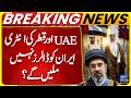 UAE and Qatar's entry | Iran won't get frozen dollars? | Trump In Action | Breaking News