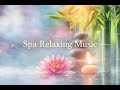 Tranquil Spa Ambiance || Relaxing Music for Wellness &amp; Sleep