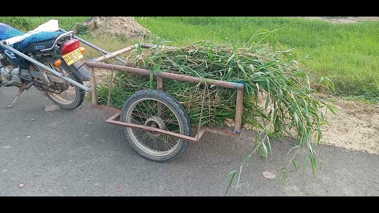 como hacer heno para conejos