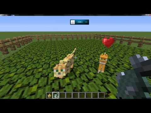 Video: Jak Zkrotit Kočku V Minecraft