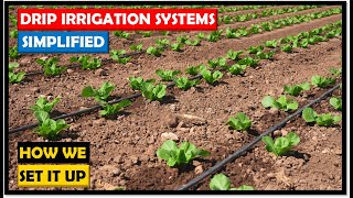 Farming in Zambia: Drip Irrigation Systems: Simple, Direct and Costeffective