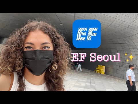   EF SEOUL EXPERIENCE REVIEW