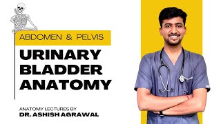 Urinary Bladder anatomy || Pelvis Anatomy || First Year MBBS || Anatomy Lectures by Ashish screenshot 2