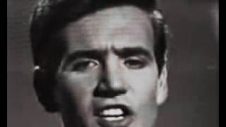 Billy J Kramer U0026 The Dakotas   Trains And Boats And Planes