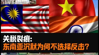 东南亚国家为何沉默？印度的老谋深算，永远不选边，只选利益？越南的安静套利，世界越乱，越南越稳？马来西亚的多边策略，不站边，只搞合作？《关税裂痕》第二集#加拿大中文国际频道#知微见著#加拿大