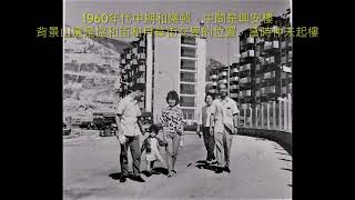 窪地蓋上高樓～官塘從1950年代開始舊照片