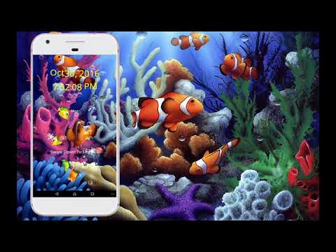 Koi Fish Live Wallpaper