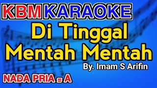 DITINGGAL MENTAH MENTAH - Imam S Arifin |KARAOKE HD