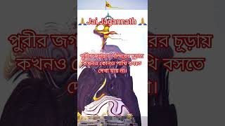 পুরীর জগন্নাথ দেবের মন্দিরের কিছু অলৌকিক ঘটনা 🙏🍁🛕🔱#viral #subscribe #shortsfeed #puri  #jagannath 🙏🔱
