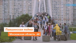 картинка: ПАВШИНСКАЯ ПОЙМА, МЯКИНИНО, КРАСНОГОРСК, 4К