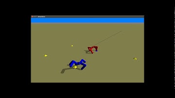 Prey and Predator, an Evolutionary Robotics Project