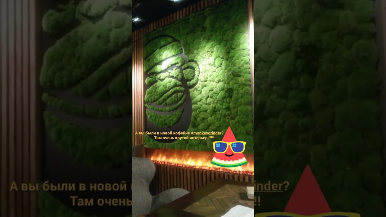 Зеленая стена из стабилизированного мха