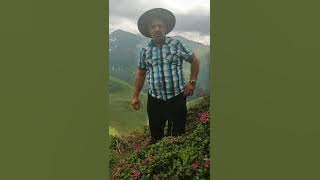 puiu fagarasanu tata meu