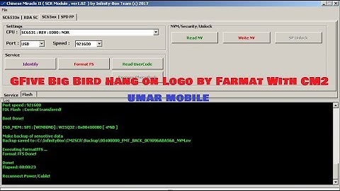 GFive Big Bird Hang on Logo Done by Format With CM2