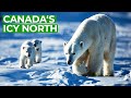 Wild Canada | Part 4: The Ice Edge | Free Documentary Nature