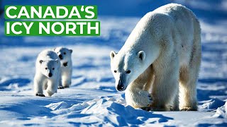 Wild Canada | Part 4: The Ice Edge | Free Documentary Nature