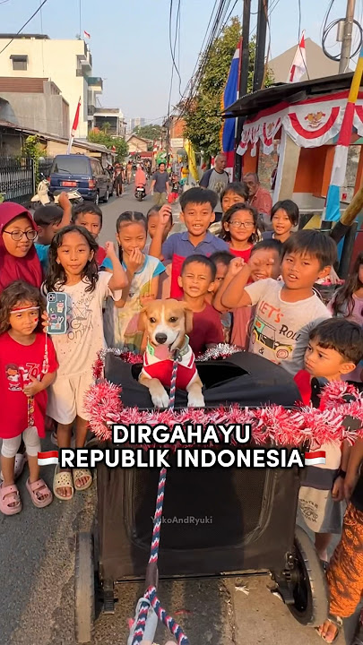 ANABUL MERAYAKAN 17 AGUSTUS DENGAN KAKAK-KAKAK‼️😍 #shorts #anjinglucu