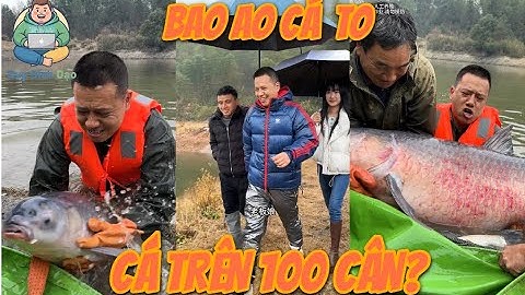 Bao ao cá từng có rất nhiều người đến câu,không ngờ lại có cá 100kg?