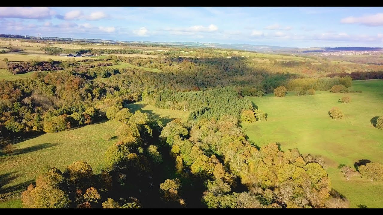 River Derwent in Autumn by drone. Co Durham UK. Mavic pro Platinum.