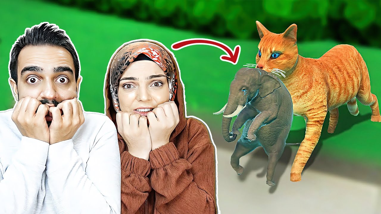 MİNİK FİL KAÇIRILDI (KEDİ FARE SANDI) !! 😱 Punch Trunk