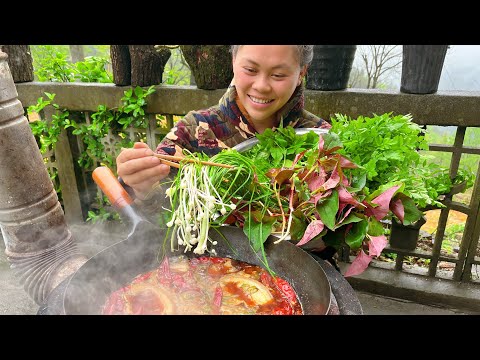 今天摘了各種野菜，再拿塊肉做個火鍋，一人一鍋把菜吃到飽真過癮Eat delicious wild vegetable hotpot today