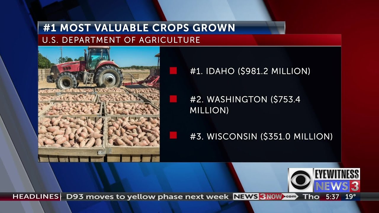 Most valuable crops grown in Idaho YouTube
