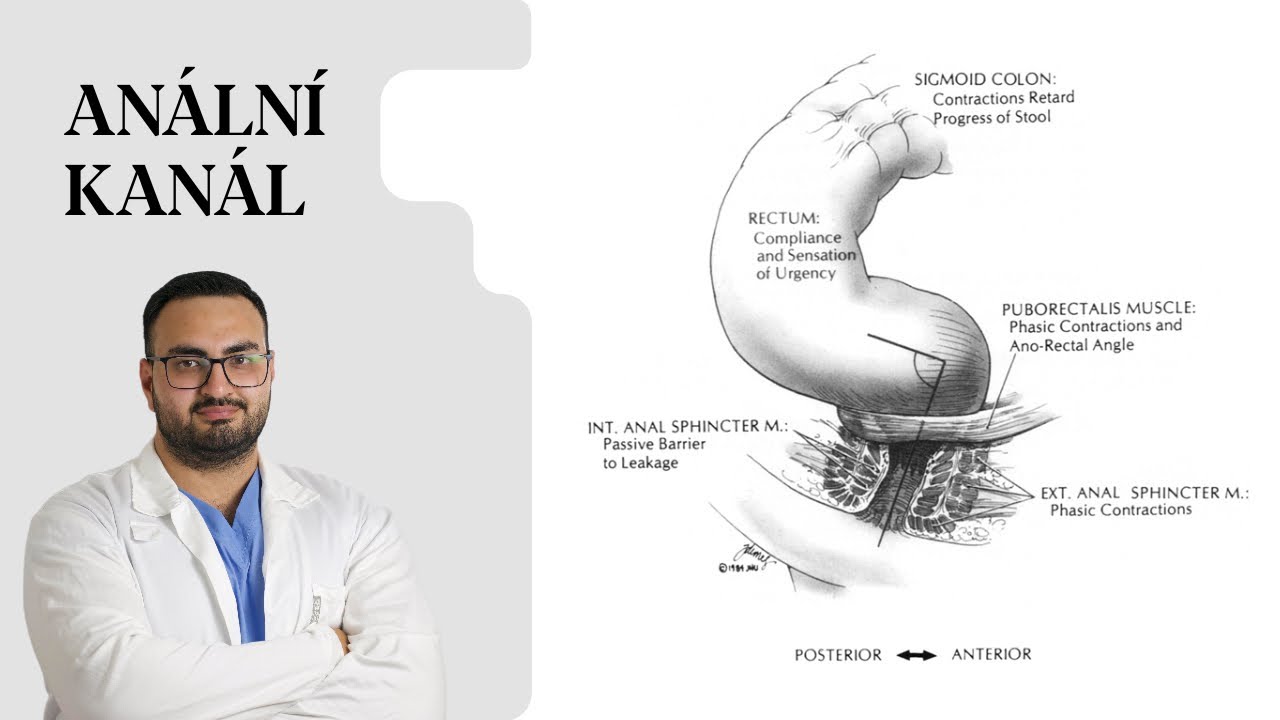 Anální kanál ...Polopaticky