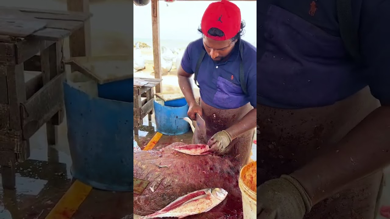 Fastest Trevally Fish Cutting Skill | Red Meat | Mr. Sampath