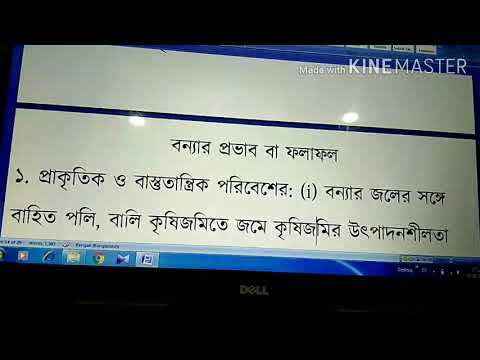 ভিডিও: মায়ান কোডিস, রাজকীয় স্মৃতিস্তম্ভ এবং মায়ান ক্যালেন্ডার