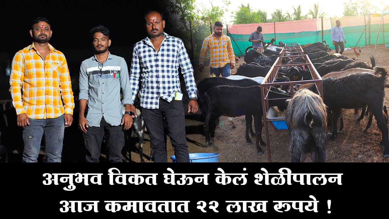 यशोगाथा | अनुभव विकत घेऊन केलं शेळीपालन | आज कमावतात २२ लाख रुपये ! Goat farming success Maharashtra