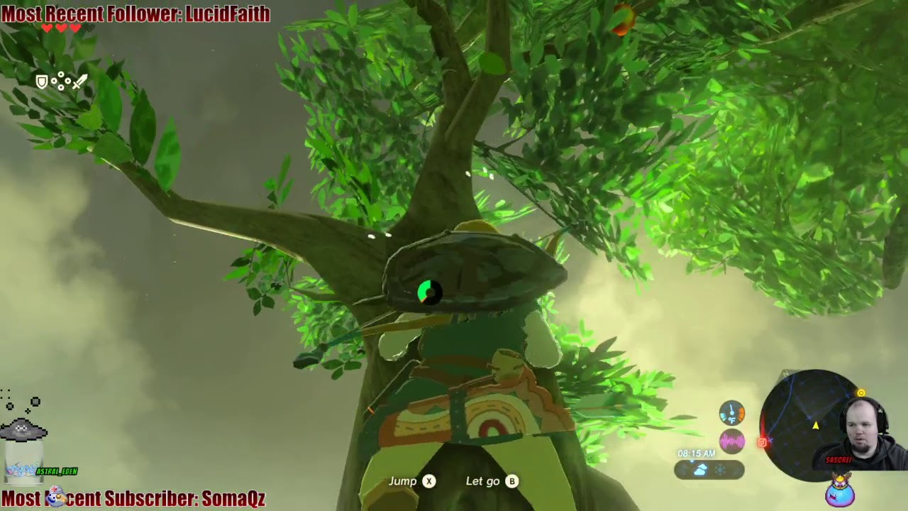 Legend of Zelda Breath of the Wild 7 Rage of the Flowers YouTube