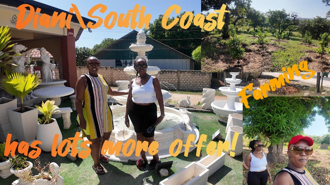 Diani\\South Coast\\Farming\\Exotic Fruit\\New Diani Malindi Road @jenerikaberglund