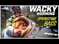 Weightless soft plastics  wacky rig for springtime bass