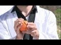 Understanding Plate Tectonics