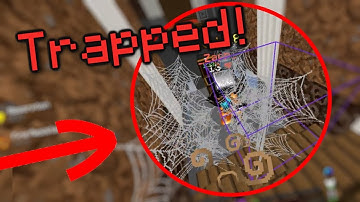 COBWEB TROLLING! ( Hypixel Skywars )
