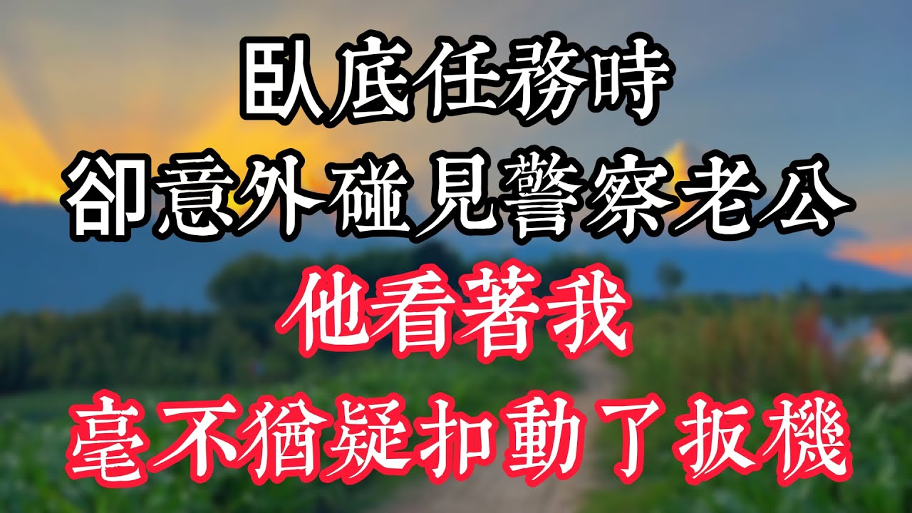 臥底任務時，卻意外碰見警察老公，他看着我，毫不猶疑扣動了扳機