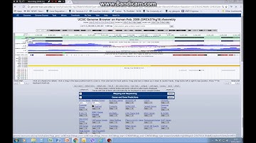 Getting started with the UCSC genome browser (tutorial 1)