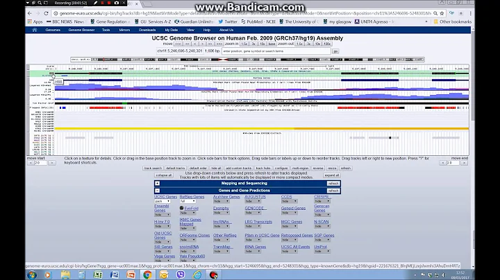 Getting started with the UCSC genome browser (tutorial 1)