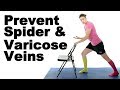 Prevent Varicose Veins & Spider Veins - Ask Doctor Jo