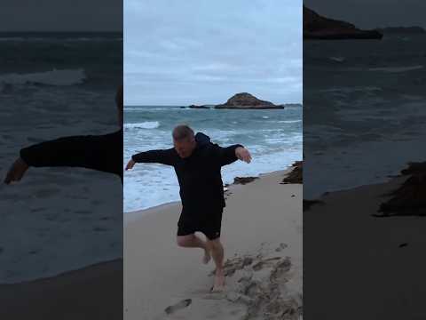 Did I finally find a seagull?? 😂