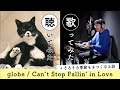 globe - Can't Stop Fallin' in Love(Covered by 入江陽)