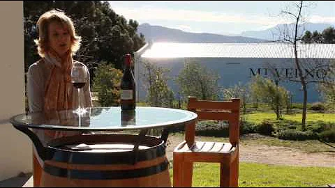 wine.co.za talks to  Debbie Hooper from Mount Vern...