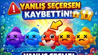 Yanliş Seçersen Kaybetti̇n Doğru Balığı Bul Dont Choose Wrong Find The Correct Fish