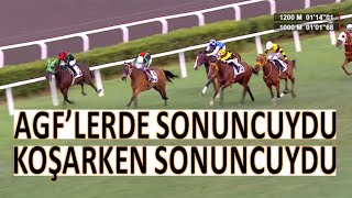 2025 KRALİÇE 2. ELIZABETH KOŞUSU (G2)
