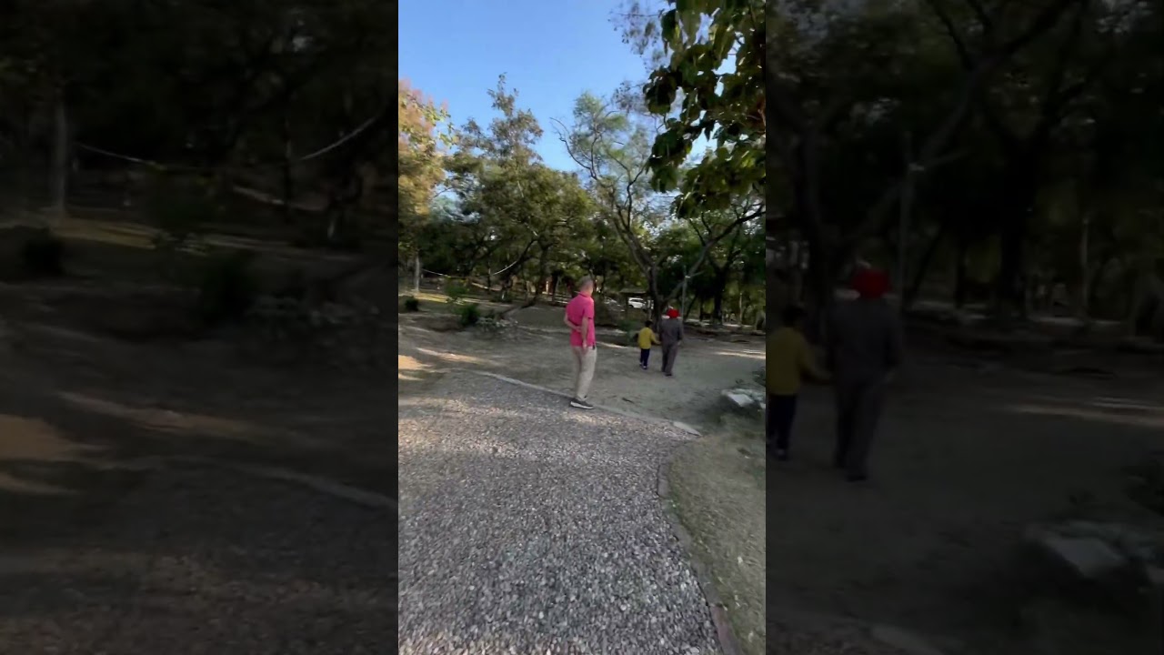 Nature Retreat Chohal , Hoshiarpur , Punjab .