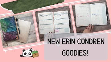 New Stuff from Erin Condren! | Functional and Fun 2020 | DebtFreePanda